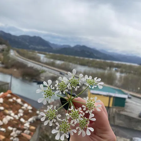 Gazivoda * Подгорица